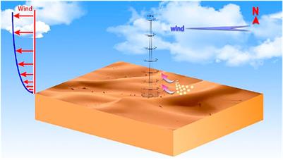 Influence of Topographic Relief on Sand Transport in the Near-Surface Layer During Dust Storms in the Taklimakan Desert